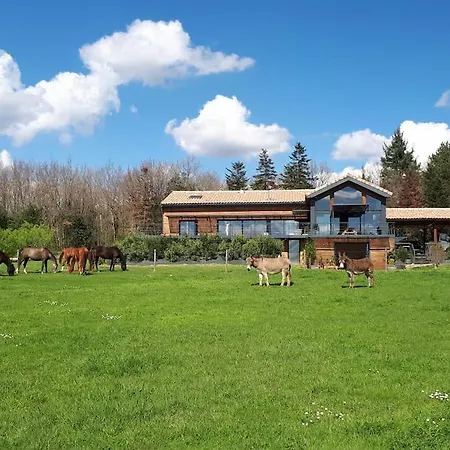 Villa Contemporaine En Plein Coeur De La Campagne *